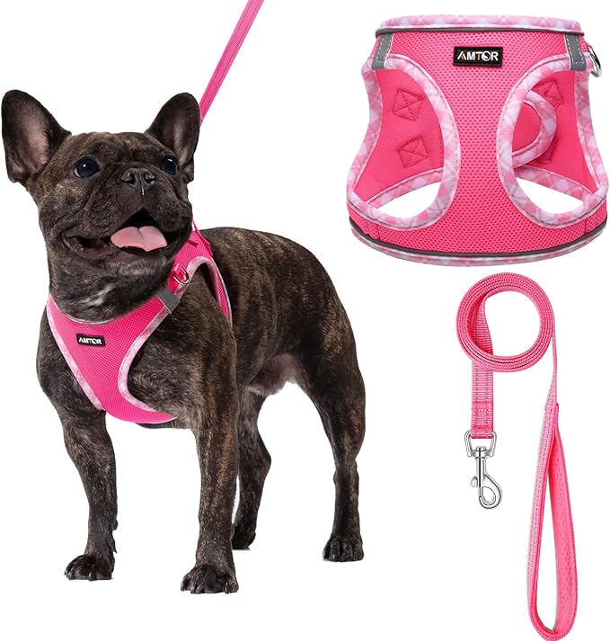 AMTOR Small Dog Harness with Leash Set, No Escape Easy Walk Puppy Harnesses for Training Walking, Step-in Reflective Soft Dogs Vest for XS S Medium Extra-Small Large Sized Dog(Fuchsia,XL)