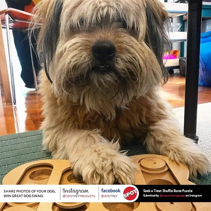 SPOT Interactive Seek-A-Treat Shuffle Bone Dog Toy Puzzle | Dog Treat Reward Toy Improves Your Dog's IQ | Specially Designed for Training Treats