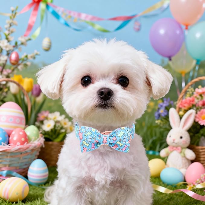 DOGWONG Easter Dog Collar, Blue Bunny Print Dog Collar with Bow, Girl Boy Pet Spring Holiday Dog Collars for Large Dogs,XL