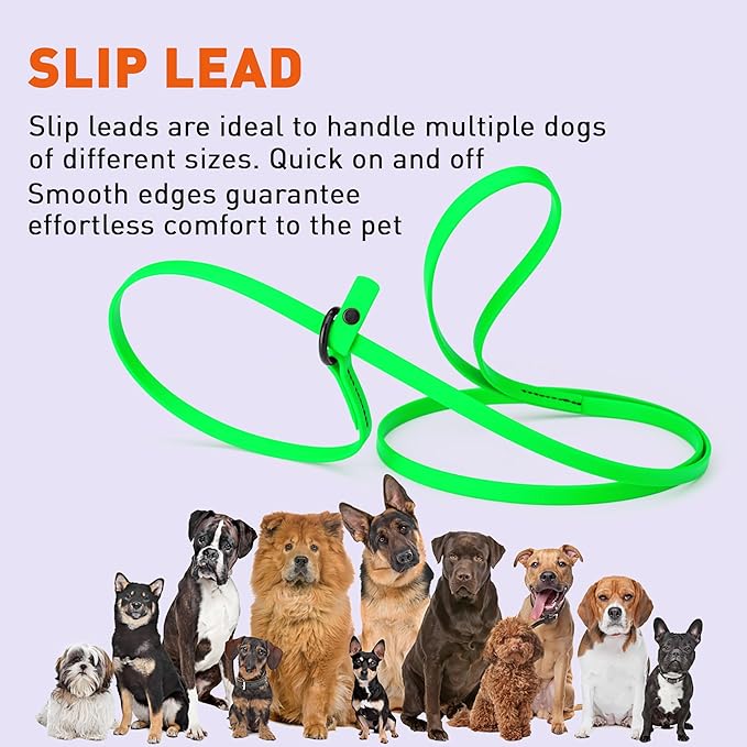 Dogline Biothane Slip Dog Leash - for Small, Medium and Large Dogs - Odor Free Slip Lead, Heavy Duty and Durable Material Kennel Lead - Tropical Green - 5ft L x 3/8in W