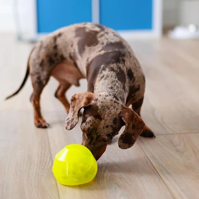 Messy Mutts Stuff’n Wobble Ball | 3.9” Green Fillable Dog Toy | Interactive Puzzle Ball for Dogs | Engaging Treat Dispensing Toy for Dogs