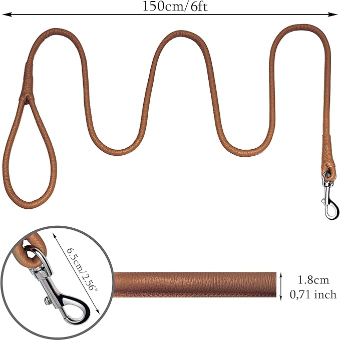 OOPSDOGGY Rolled Leather Dog Lead 6ft Heavy Duty Training Leash for Small Medium Large Dogs & Puppy Black Brown Red (Beige, Large)
