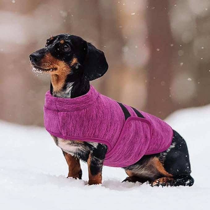 Queenmore XL Dog Sweaters, Soft Fleece Vest Pullover Dog Jacket with Leash Hole, Warm Winter Dogs Clothes Cold Weather Doggy Dachshund Sweater for Large Dogs Cats Boy or Girl (Cationic Berry, XL)