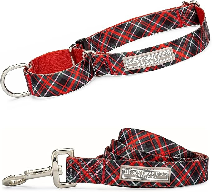 Lucky Love Dog Martingale Dog Collar & Leash - Adjustable, No-Slip, Durable, Comfortable, Soft Webbing, & Stylish Patterned Collar & Leash Set for Male and Female Dogs - Heywood Combo, Large