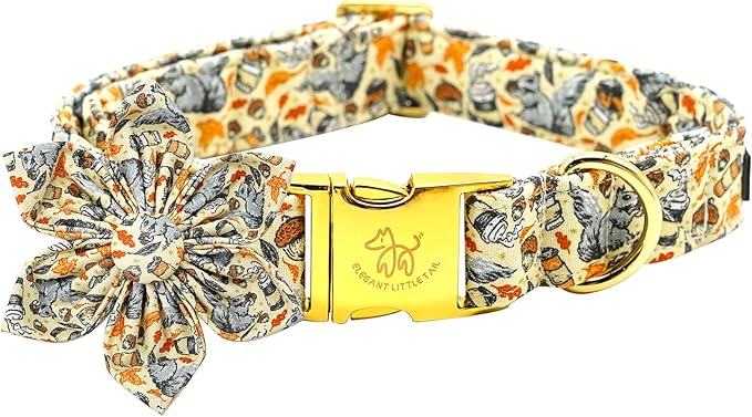Elegant Little Tail Fall Squirrel Print Dog Collar with Soft Durable Flower Pet Collar for Small Dogs