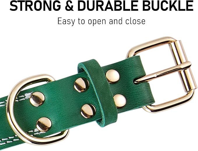 Dog Collar, Genuine Leather Heavy Duty Dog Collar for Small, Medium, Large and Extra Large Dog (M: 1" Wide for 15.2"-19.2" Neck, Dual Stitch - Green)