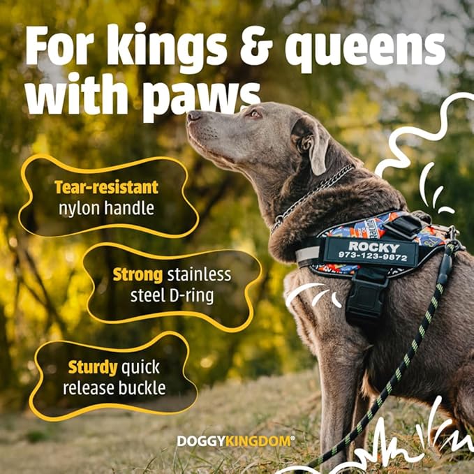 Personalized No-Pull Dog Harness with Name Patch, Adjustable, Reflective, Padded, Heavy Duty Pet Vest to Prevent Tugging, Pulling, or Choking, Training and Walking, Blue, XL