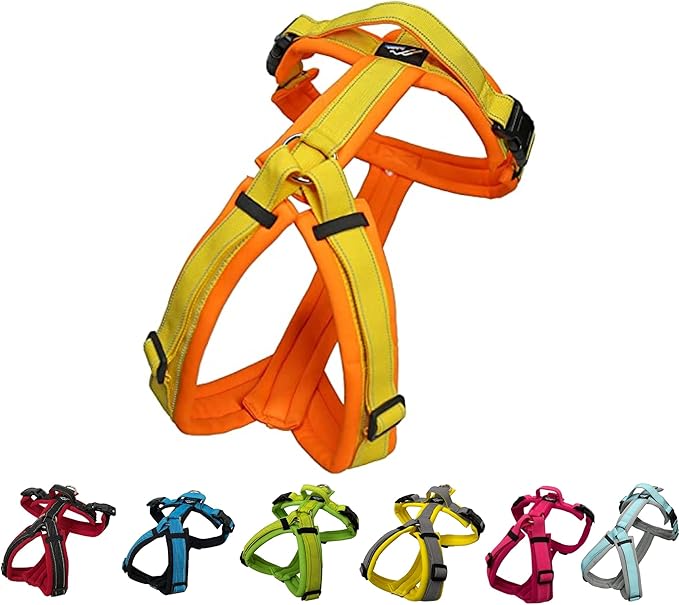 [白山:Hakusan] Zero Dog Harness Basic Type, Safe - No chocking/Hard to Disconnect, Great fit - Easy Put on and Off/Adjustable, Reflector, Tiny - Small & Medium Dog, Two-Tone Orange×Yellow