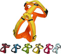 [白山:Hakusan] Zero Dog Harness Basic Type, Safe - No chocking/Hard to Disconnect, Great fit - Easy Put on and Off/Adjustable, Reflector, S - Medium Dog, Two-Tone Orange×Yellow