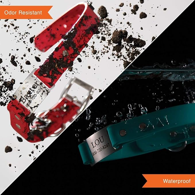 dogIDs Personalized Dog Collar – ScruffTag Custom Waterproof Biothane Dog Collar with Laser-Engraved Name, Durable & Odor-Resistant – USA Made | Hunter Green, 5/8 in x 12 in (Fits Neck Sizes 11-13 in)