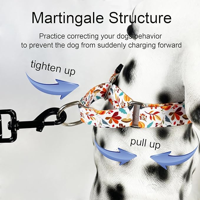 Martingale Collar for Dogs Fall Dog Collars for Small Medium Large Dogs with Buckle Adjustable Soft Nylon Dog Collar (Mushroom Maple Leaf, Small)