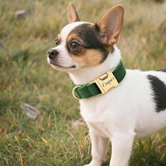 Personalized Velvet Dog Collar with Name & Phone Custom Dog Collar Personalized Name and Phone Number, Custom Collar Leash for Dogs, Engraved Metal Buckle Collar (Style - C)