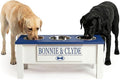 GTW Personalized Elevated Triple Dog Bowl Stand for Large, Medium, Small, X-Small Dogs - 3 Stainless Steel Food and Water Bowls - Raised Dog Dish with Internal Storage (Large, Blue)