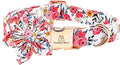 Lionheart Glory Floral Dog Collar - Soft, Durable & Adjustable for Large Dogs