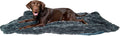 PawProof Fuzzy Pet Throw Blanket - Waterproof Blanket for Dogs & Cats - Faux Fur & Ultra-Soft Microsuede - Grey S Size (28"x38")