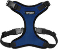 Voyager Step-in Pet Harness - All Weather Mesh, Adjustable Step in Harness for Cats and Dogs by Best Pet Supplies - Royal Blue/Black Trim, L
