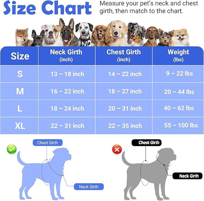 Funfox Dog Harness No Pull, Adjustable Pet Vest Harness, Super Soft Material with Vertical Handle Easy Control, Reflective Night Walking, 2 Leash Clips for Small Sized Dogs, Mosaic Blue, S