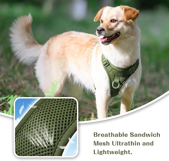 No Pull Dog Harness for Small Medium Large Dogs - Adjustable 2 Layer Mesh Dog Vest with Dual Clip, Escape Proof, Quick Release, Lightweight Breathable Mesh for Walking Hiking (Misty Green,S)