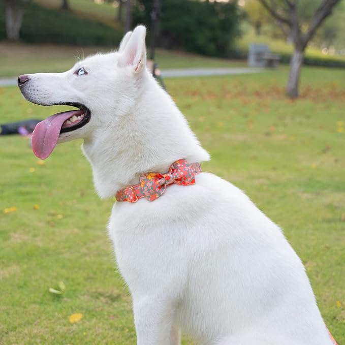 Tunkoo Dog Collar Elegant Floral Bow Tie Unique Style Super Soft Comfy Adjustable Cotton Collar with Premium Metal Buckle, for Puppy Small Medium Large Pet Supplies, M