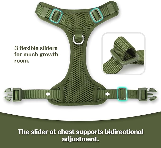 No Pull Dog Harness for Small Medium Large Dogs - Adjustable 2 Layer Mesh Dog Vest with Dual Clip, Escape Proof, Quick Release, Lightweight Breathable Mesh for Walking Hiking (Misty Green,XL)