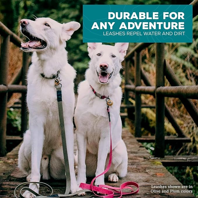 Wilderdog Waterproof Dog Leash - Repels Water & Dirt - Pacific Blue