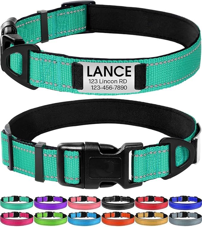 Joytale Personalized Dog Collars with Engraved Name Plate, Silent No Jingle Custom Nylon Collar with Fixed ID Tag, Reflective Soft Neoprene Padded Breathable for for Large Dogs, Teal