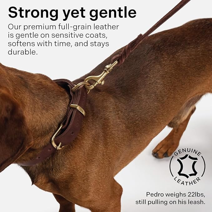 Scout Supply Classic Leather Dog Leash | Strong Heavy Duty Thick Full Grain Leather | Waterproof & Rust-Proof Brass Hardware (Dark Brown, L: 4.5 ft x 2/3 in)