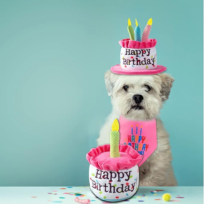 Dog Birthday Cake Toy, Happy Birthday Cake Shaped Squeaky Dog Toys for Medium & Large Dogs Funny Dogs Gifts Plush Dog Party Toys, Large, Pink