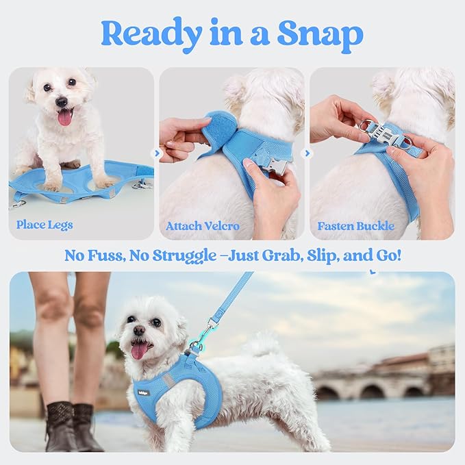 rabbitgoo Dog Harness Small Sized and Leash Set, Step in Soft Light Puppy Vest, Breathable Mesh Pet Harness, Reflective for Safe Easy Walking, Blue XXXS