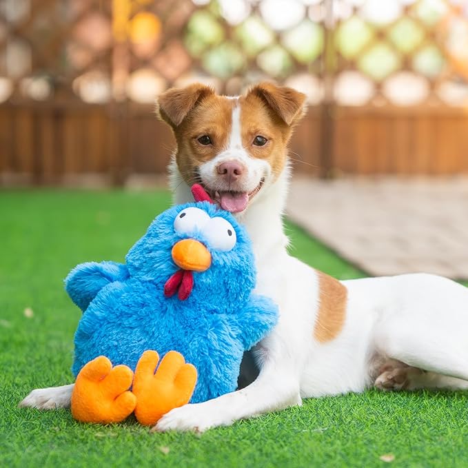 Best Pet Supplies Interactive Squeaky Dog Chew Toy, Ideal Dog Toys for Chewers, Small, Medium & Large Dogs, and Fetch Lovers - Cluck (Blue), Large