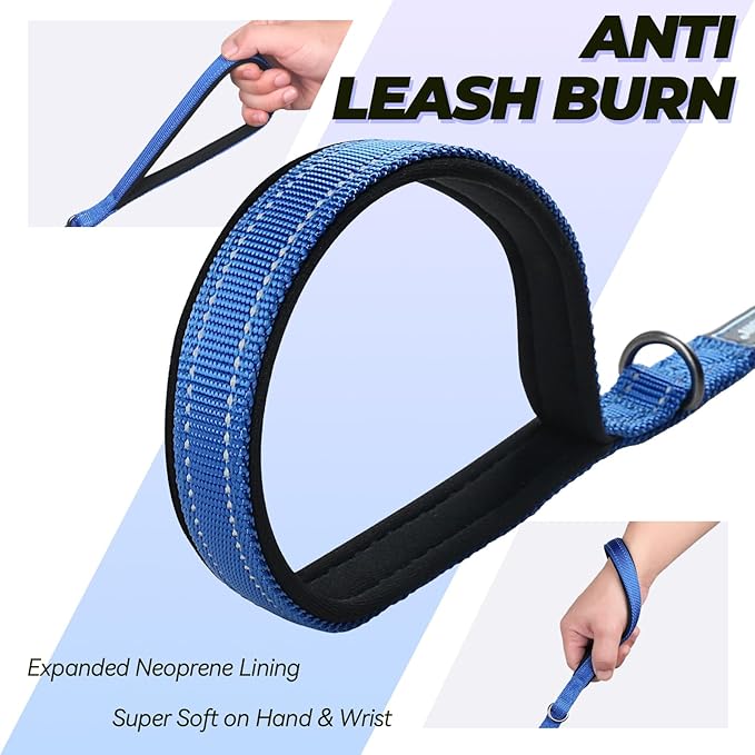 VIVAGLORY Twingrip Dog Leash, Double Handle Dog Leash for Training & Walking with Traffic Handle & 2 Loop, Traffic Control Reflective Heavy Duty for Puppy Pet, 4ft x 1/2in, Blue
