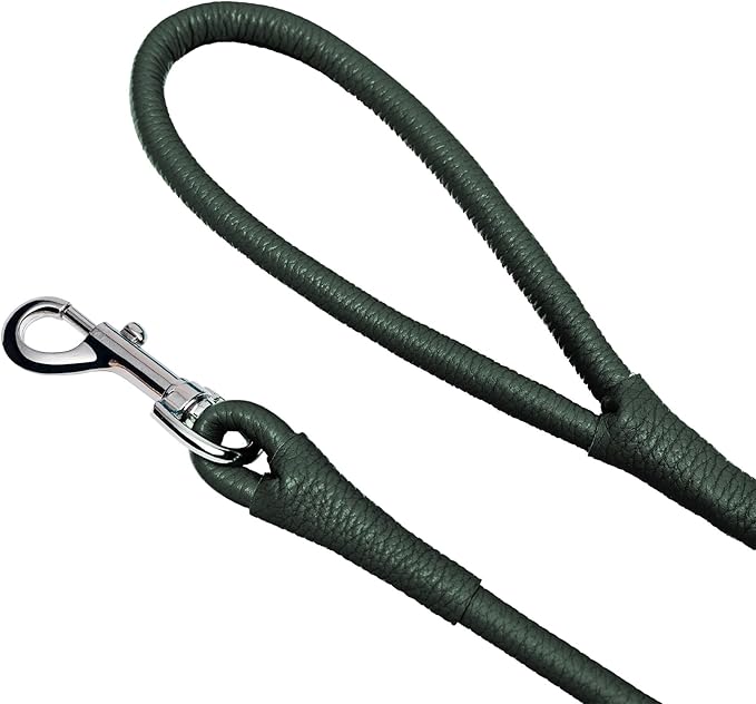OOPSDOGGY Rolled Leather Dog Lead 6ft Heavy Duty Training Leash for Small Medium Large Dogs & Puppy Black Brown Red (Green, Small)