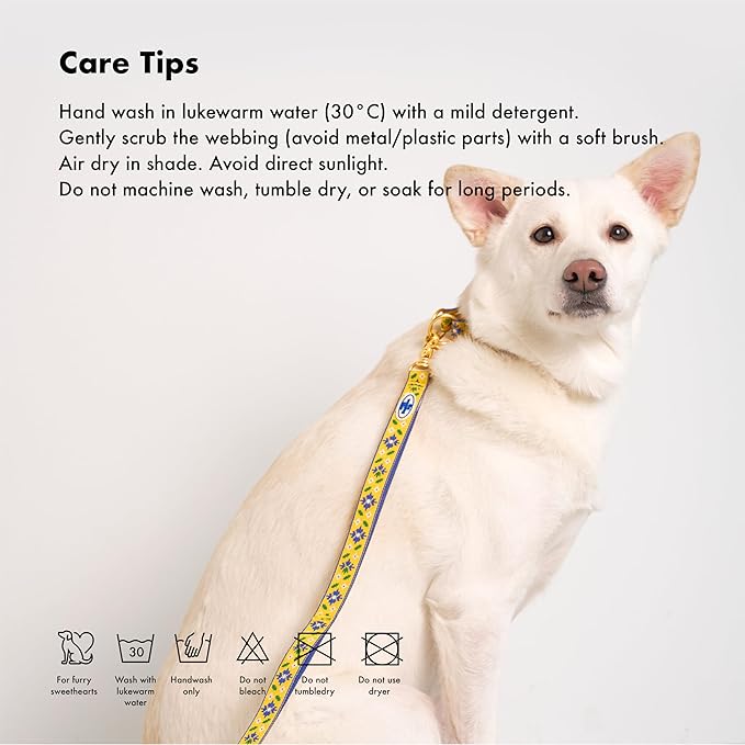 Signature Dog Leash – 63in Durable Double-Sided Jacquard Webbing, Ergonomic 0.8in Grip, Safety-Tested Hardware – Made in Korea (Basic, Peony)
