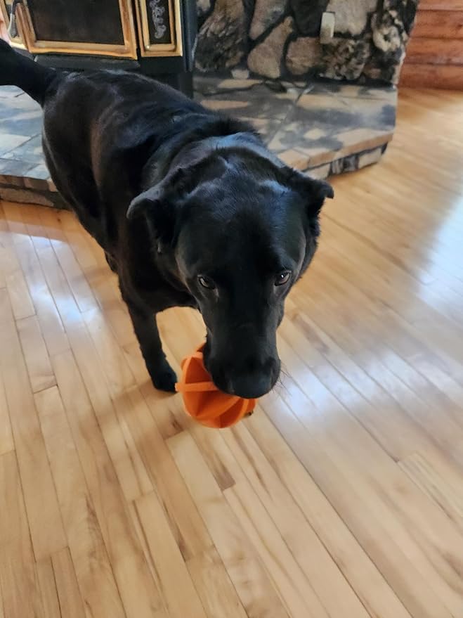 4" Ball, Dog Chew Toy, Boredom Buster That Stimulates Your Dog's Natural Instincts