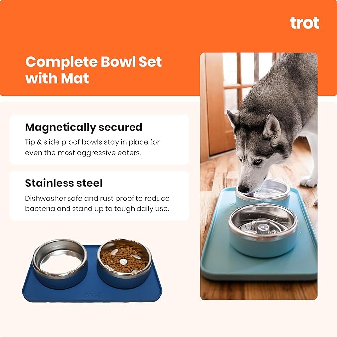 Trot Pets Premium Dog Bowls | Stainless Steel Bowl Set for Small, Medium, or Large Dogs | Non-Slip Food and & Water Slow Feeder | Durable, BPA-Free, Anti-Skid, Dishwasher Safe (Bone, Small)