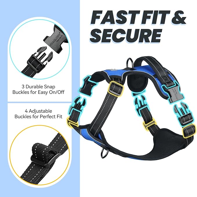 VIVAGLORY Dog Harness Easewalk No Pull Dog Harness with Handle Front Clip & Back Clip for Training Walking Lifting, No Pull Adjustable Easy On Padded Comfortable for Pet, S, Royal Blue - Plain
