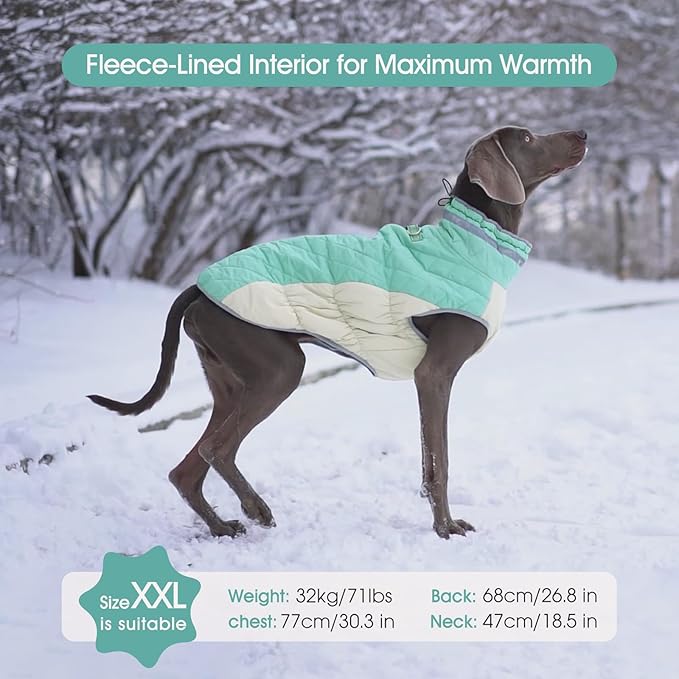 FUAMEY Dog Coat for Large Dogs,Waterproof Dog Winter Jacket with Harness Built in Puppy Cold Weather Coats Reflective Pet Vest with Zipper Warm Fleece Dogs Snowsuit Windproof Mint Green L