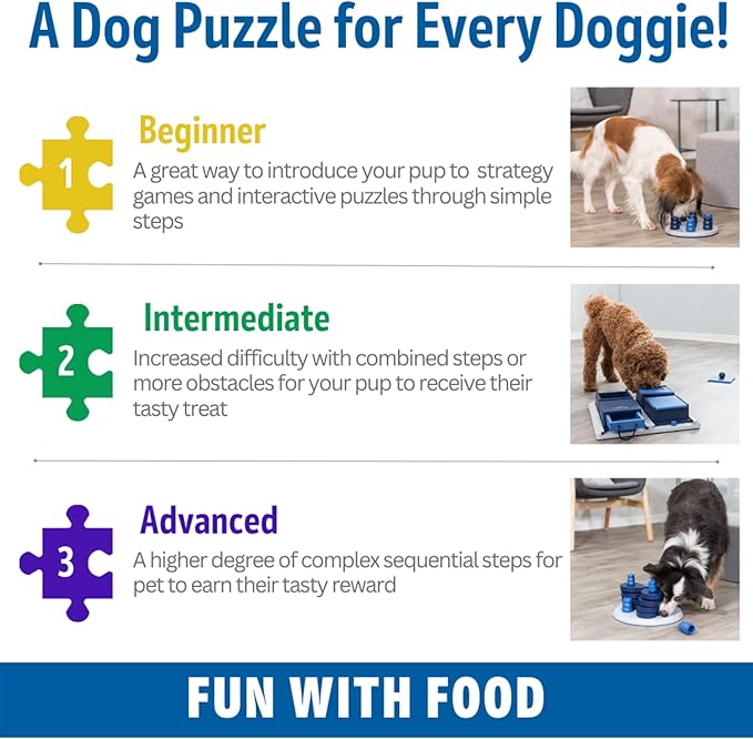 TRIXIE Poker Box 1 Dog Activity Interactive Toy, Level 2 Food Puzzle Game, Brain Teasing Treat Dispenser, IQ and Mental Development Toy for Smart Dogs, Enrichment Toy for Boredom Busting