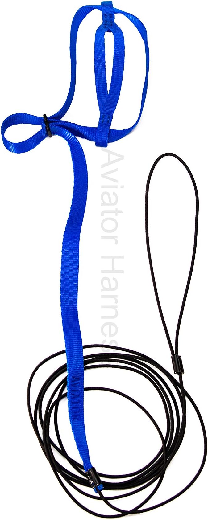 The AVIATOR Pet Bird Harness and Leash: Petite Blue