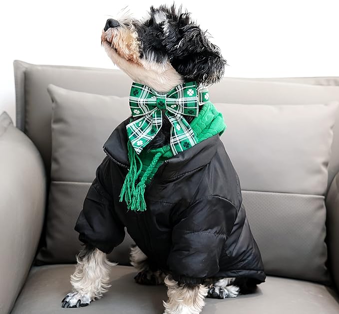 Lionet Paws St Patricks Day Dog Collar with Bowtie, Irish Green Shamrock Clover Sailor Bow Collar with Metal Buckle for Dogs and Cats, Adjustable Cute Dog Collar Girl, S, Neck 10-16 in