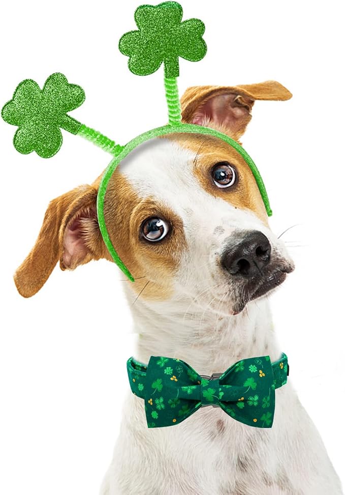 Elegant little tail St. Patrick's Dog Collar, Green Clover Print Sturdy Soft Dog Collars Pet Gift Puppy Bowtie Adjustable Pet Collars for Small Dogs