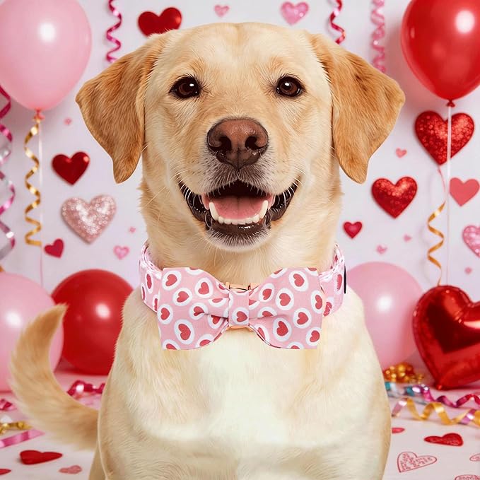 Lionheart glory Dog Bow Collar - Valentine's Day Dog Collar with Bowtie Hearts Print Collars Soft Adjustable for Large Dogs Girl Boy Dogs Spring Holiday Cute Collars