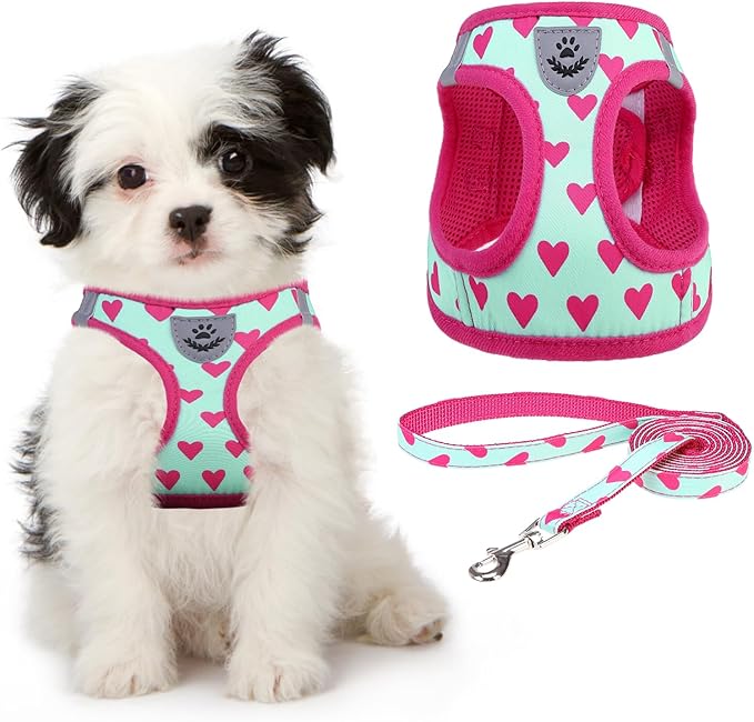KOOLTAIL Valentines Dog Harness and Leash Set for Small Medium Dogs, Step in No Pull Soft Mesh Dog Harness Padded Pet Vest, Adjustable Reflective Easy Walking Puppy Harnesses Training, Pink Heart XS
