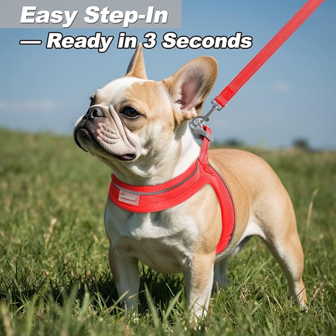 Dog Harness and Leash Set,Step in Small Sized Dog Harness,Soft Mesh,No-Chock,Reflective Adjustable,Secure with Hook & Loop Fastener,Puppy Vest for Small,Medium Dogs(Red,L)