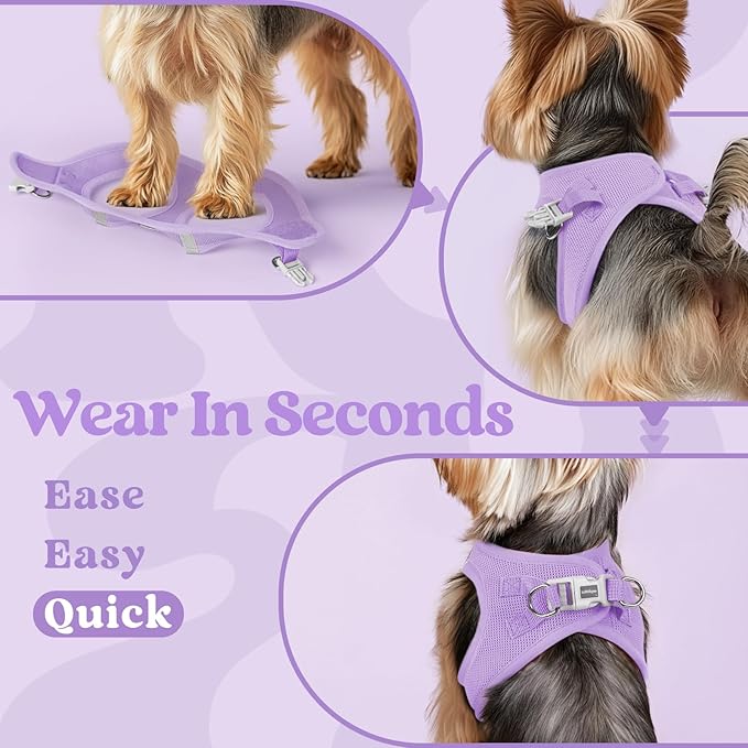 rabbitgoo Small Dog Harness, Step-in Soft Mesh Puppy Vest with Safety Buckle, Breathable Reflective Pet Harness for Small Sized Dogs, Light Purple XS