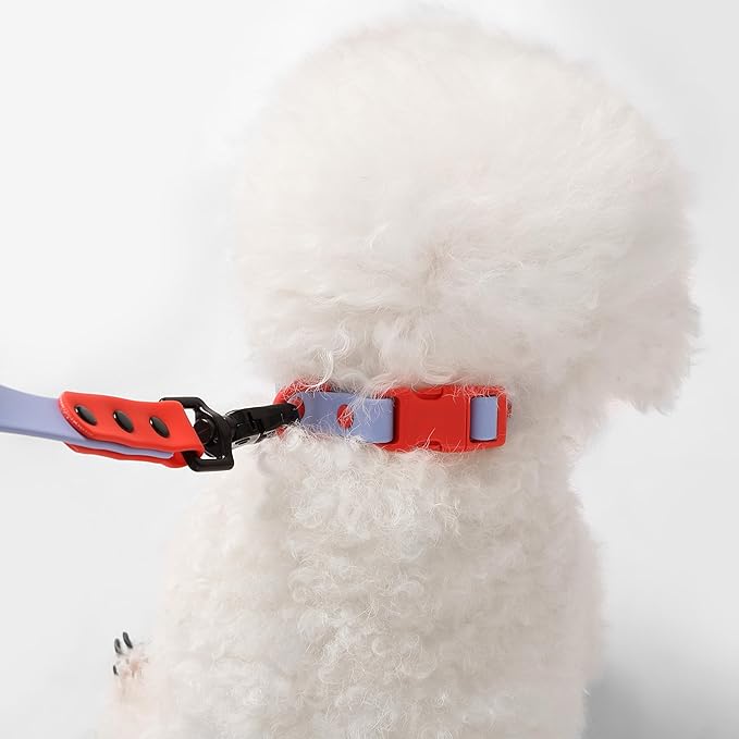 WLK1004E-5SET Luna Small 8FT Adjustable 6-in-1 Waterproof Hands-Free Leash and Collar with LED Flashlight, Bag Dispenser, and Poop Bag Holder, Sangria