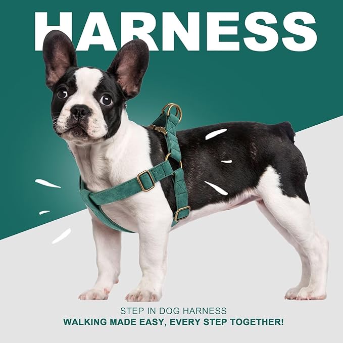 Didog Step in Dog Harness - PU Leather Dog Harness with Antique Bronze Metal Buckle, Easy Walk Dog Halter Harness for Medium Large Dogs Walking Training (Green, M: Chest 20-29")