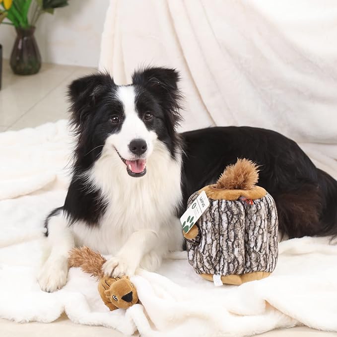 Laifug Hidden Squirrel Plush Dog Toy， Interactive Squeaky Dog Toy Hide and Seek, L