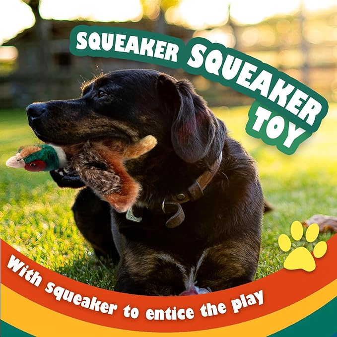 ALL FOR PAWS Dog Interactive Pheasant Toys, Squeaky Dog Toys, Stuffed Animal Dog Hunting Plush Toy, Small