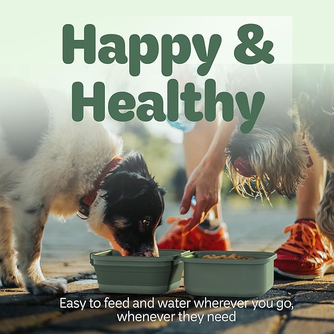 Collapsible Dog Water Bowl 30oz, 2 in 1 Portable Travel Dog Food Bowl with Lid, Easy Carry Loop Handle, Foldable Dog and Cat Food Bowl, Perfect for Traveling, Walking, Hiking (Green)